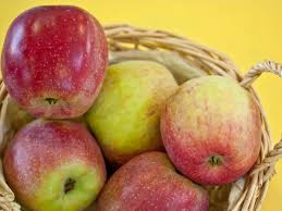 Вчені Інституту садівництва НААН назвали найстійкіший до посухи і спеки сорт яблук